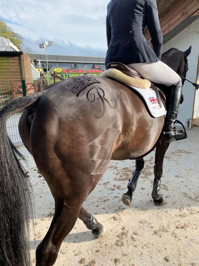 Cartown Wallabe at Millstreet