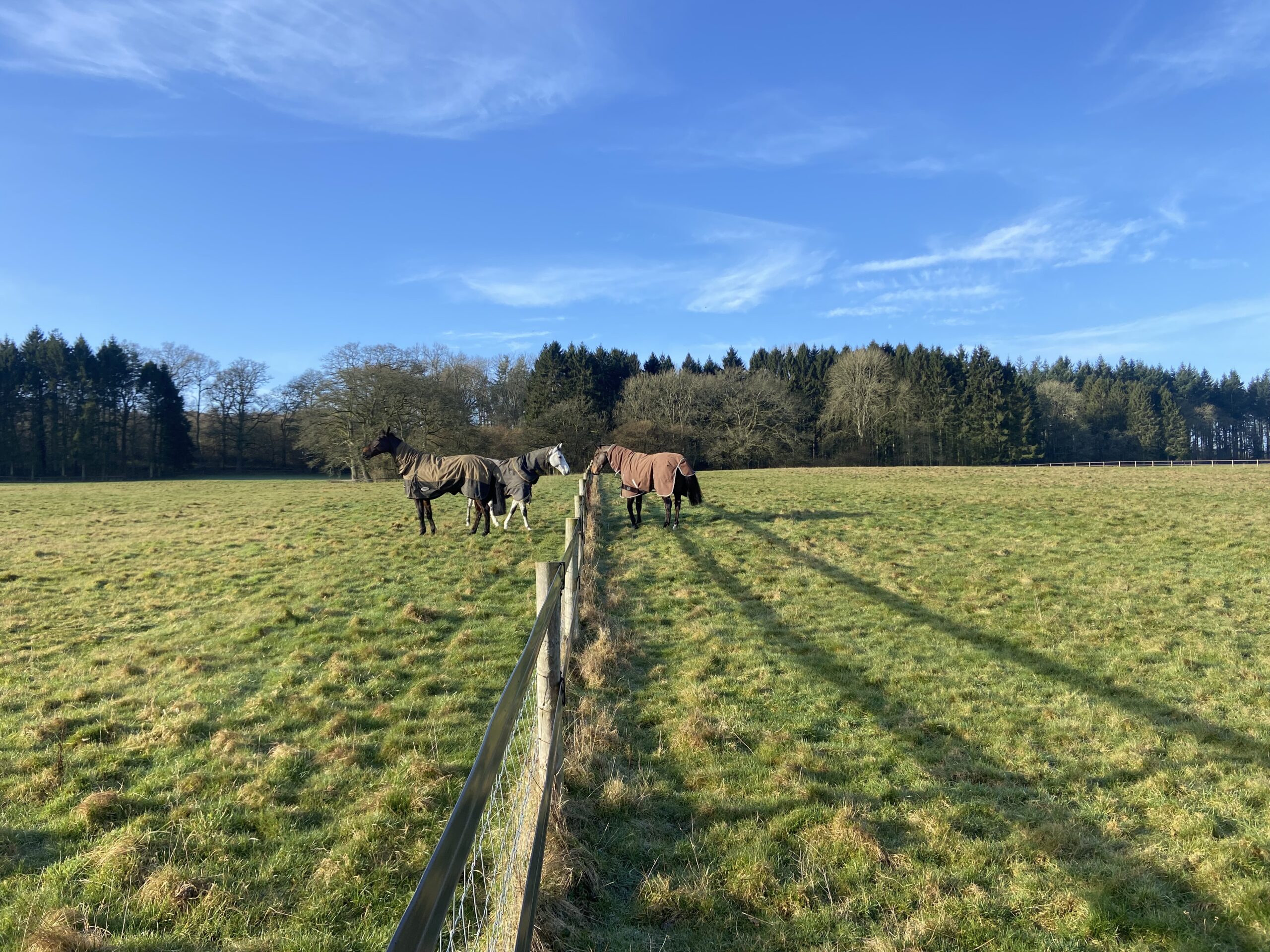 Paddocks at Roxburghe Eventing