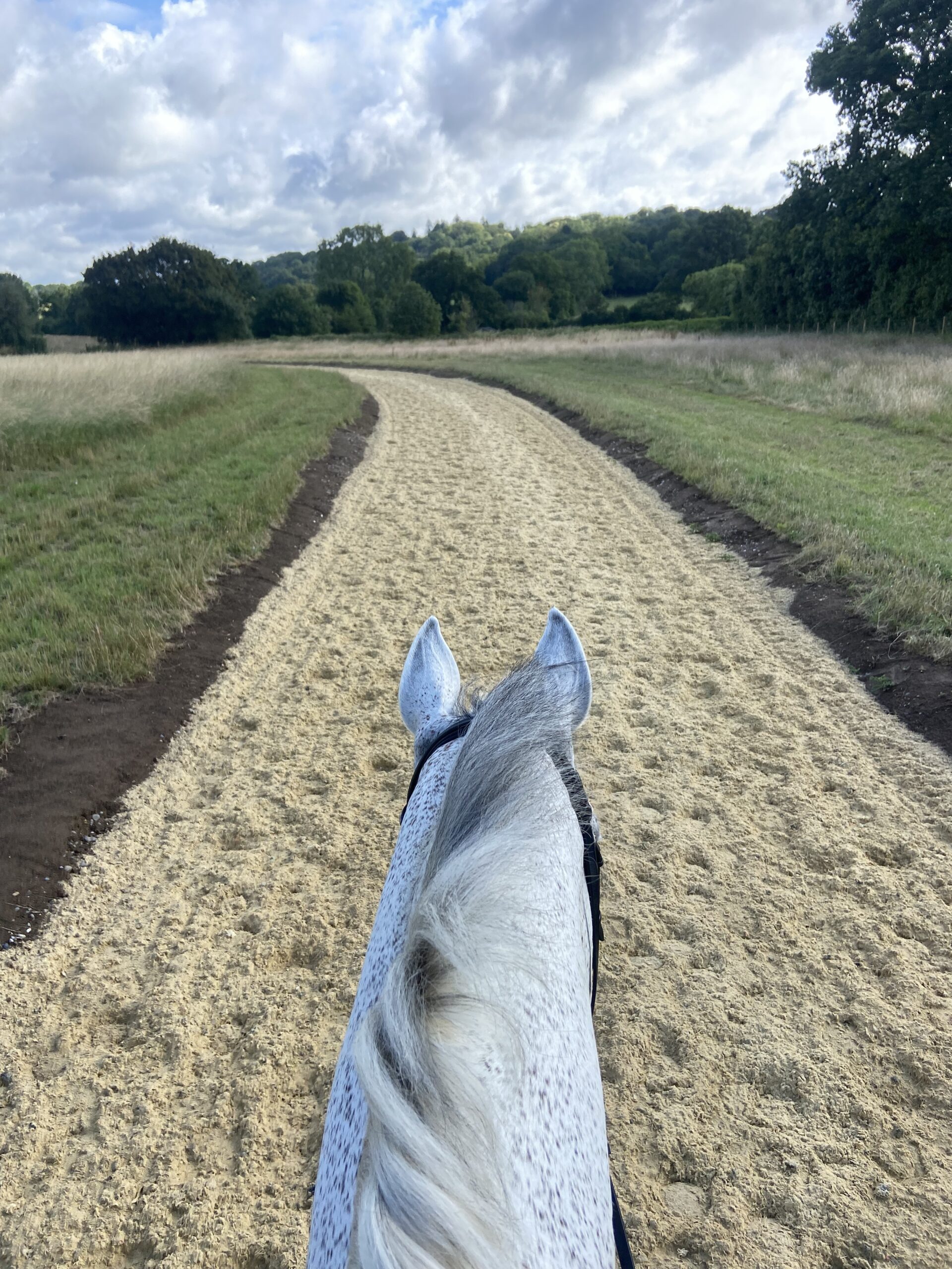 Gallops at Roxburghe Eventing