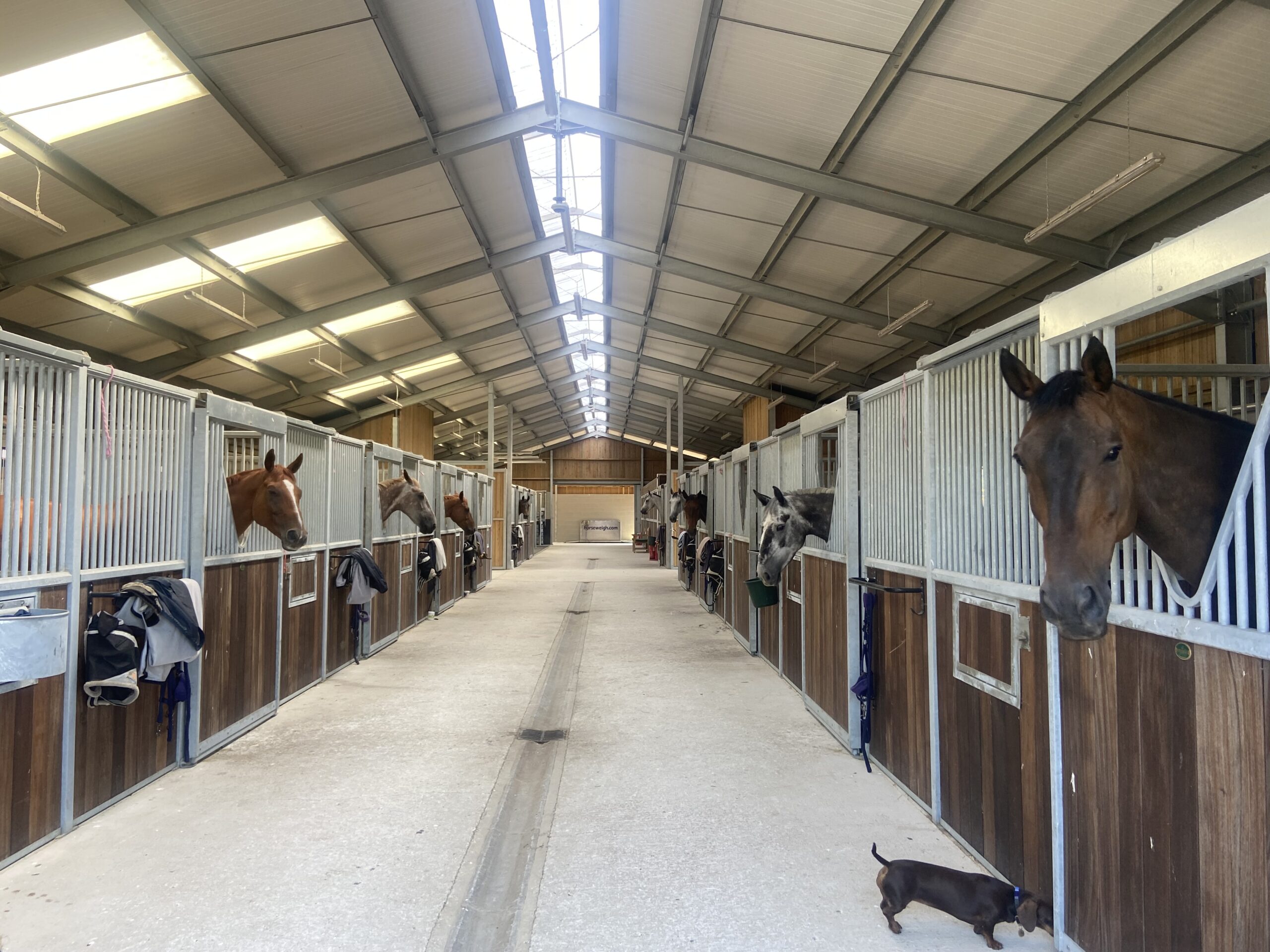 Stables at Roxburghe Eventing